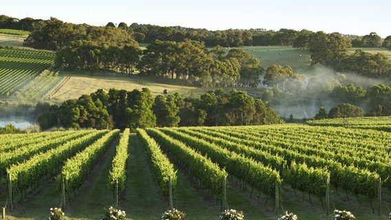 MelbourneTours