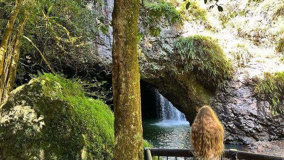 Mount TamborineTours