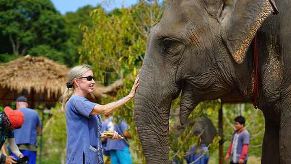 Koh SamuiTours