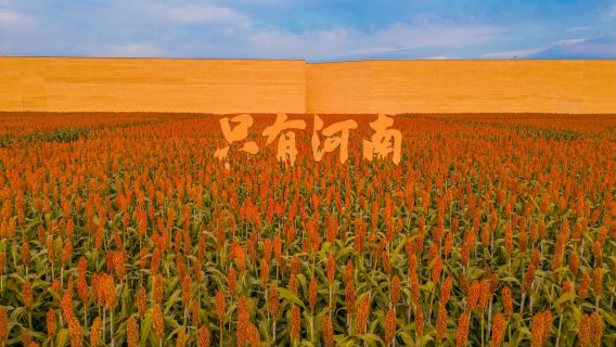 只有河南戲劇幻城一日遊【15人上限、一價全含.真純玩】