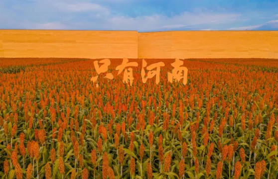 只有河南·戲劇幻城一日遊【15人上限、一價全包·真純玩】