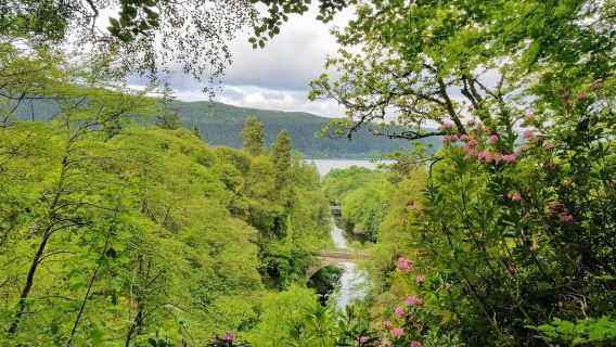 The Quieter Side of Loch Ness (Private)