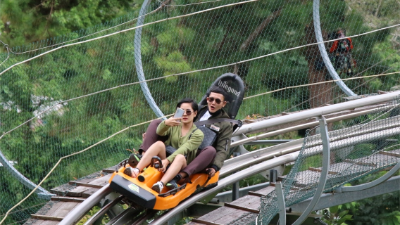 泰國清邁叢林飛索【酒店接送~含餐~可選:博岩/飛躍天際/叢林之光】