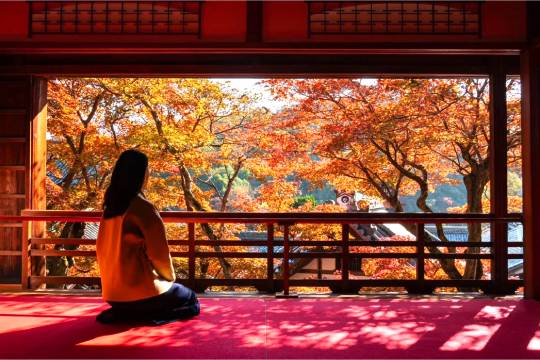 One-day tour to Yokoji Temple + Arashiyama + Kiyomizudera Temple + Yasaka Genshindo Temple in Kyoto, Japan