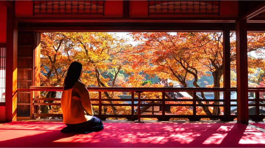 京都清水寺+嵐山+楊谷寺一日遊