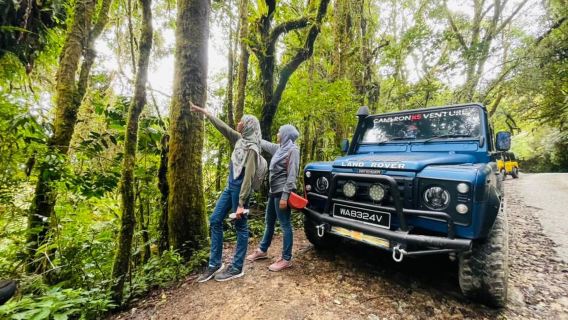 Нагорье Кэмерон: дневной тур из Нагорья Кэмерон — групповой или индивидуальный вариант