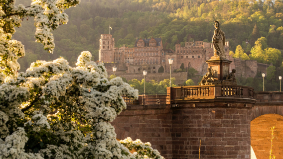 Germany + Heidelberg Castle + Rhine Valley + Rudesheim one-day tour