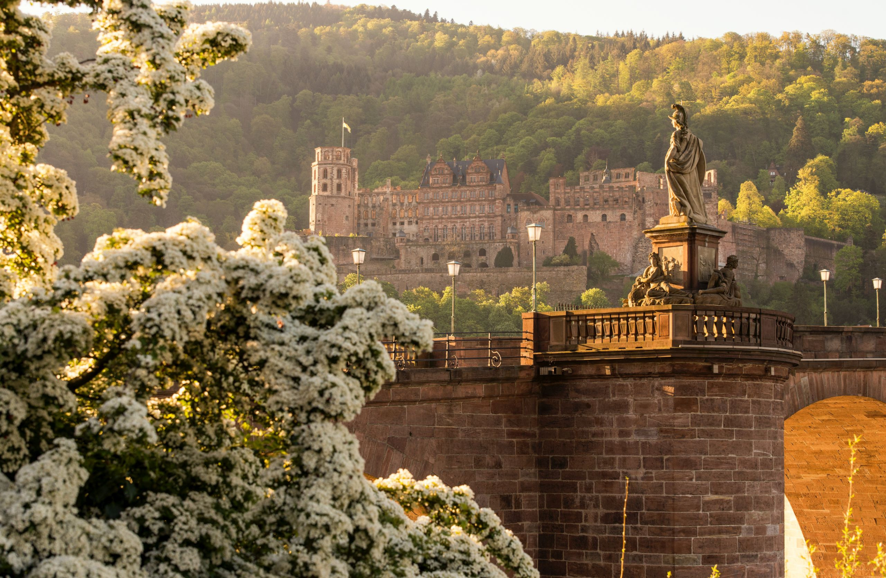 Germany + Heidelberg Castle + Rhine Gorge + Rüdesheim Day Tour [Chinese-English Private Charter]