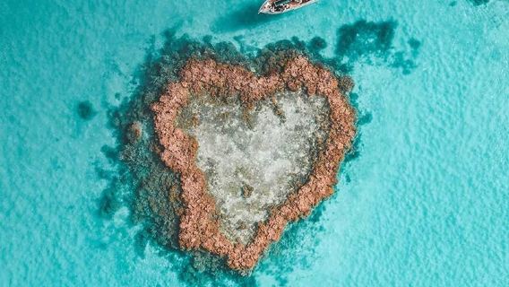 Tour di un giorno panoramico sulla linea sud/nord delle Isole Whitsunday, Heart Reef Flight di OceanRaftin