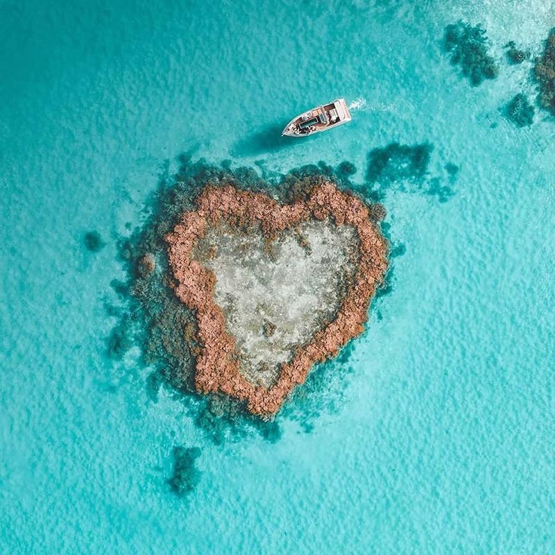 Excursión de un día en Ocean Rafting a los Whitsundays con vuelo panorámico al Arrecife Heart (Ruta Sur/Norte)