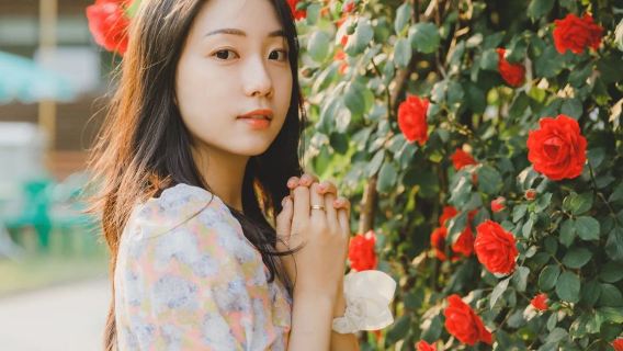 ライデン、オランダ【ドライバーとガイド + 旅行写真 + 結婚式の写真、航空写真、マイクロフィルム + メイクアップと衣料品&アクセサリー+ 旅程のカスタマイズ + 人数無制限】