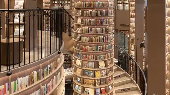 Chengdu Dujiangyan + Yangtianwo Square + Zhongshuge + Nanqiao Night View one-day tour