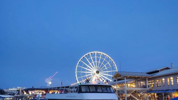 Miami: Island Queen Millionaire's Row Sightseeing Cruise