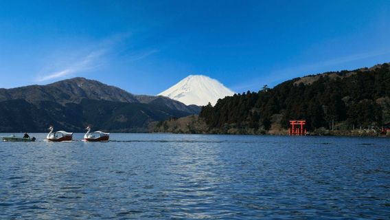 箱根當地交通