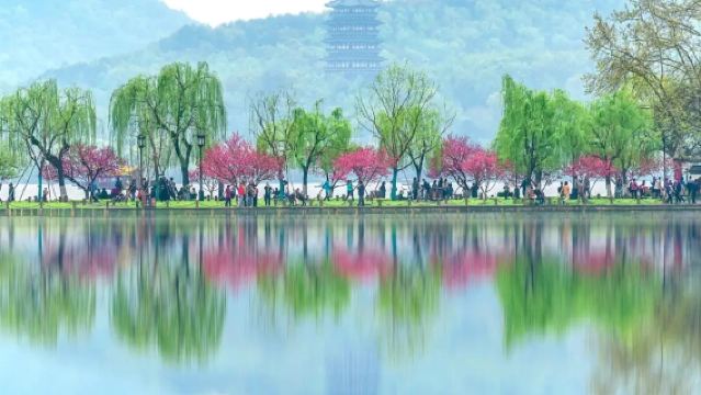 杭州西湖蘇東坡紀念館+蘇堤徒步+2小時人員導覽服務半日