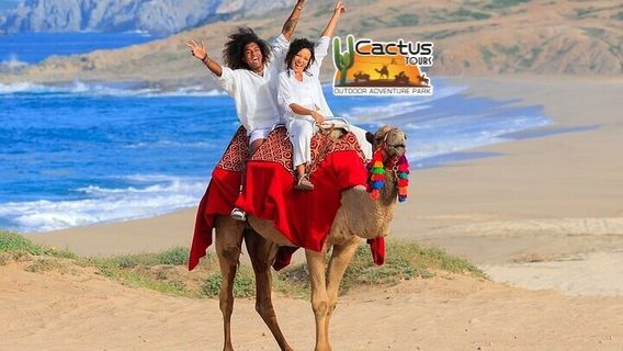 Cabo San LucasTours