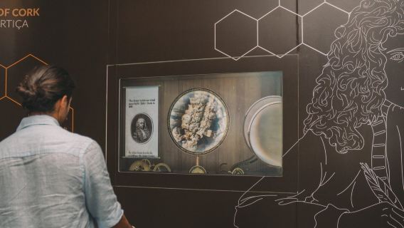 Taylor's Port Cellars & WOW Museum: Entry Ticket + Wine Tasting