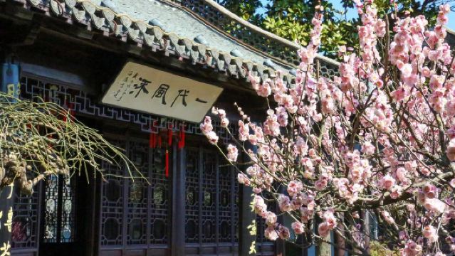 Tanah Suci Lingshan + Patung Buddha Lingshan + Taman Plum