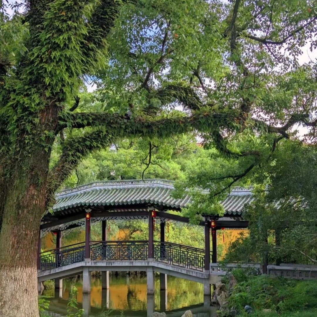 溫州江心嶼【人員導覽服務 可選場次 時長】