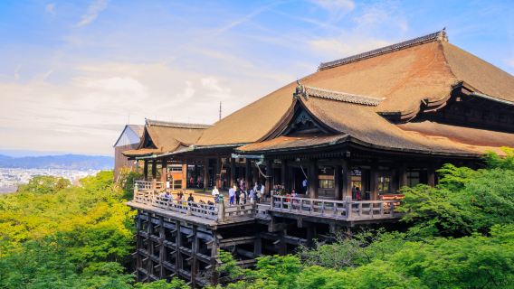 ทัวร์วันเดียว/ทัวร์หลายวัน|วัดคินคะคุจิ + วัดคิโยมิสึ + วัดเบียวโดอิน + ศาลเจ้าลิง + นินเนนซากะ