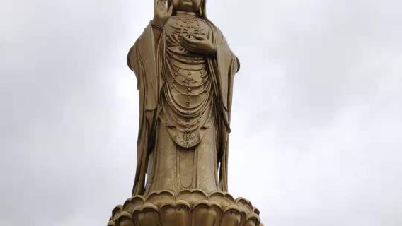 普陀山風景區一日遊【免取票 祈福許願還願靜心之旅】