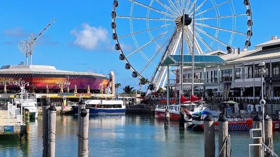 邁阿密大沼澤地公園+地標經典路線【包車團|可客製化|一日遊】