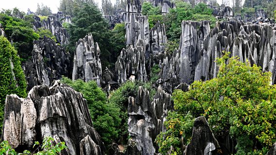 Excursion d'une journée au mont Avatar dans le parc forestier national de Zhangjiajie