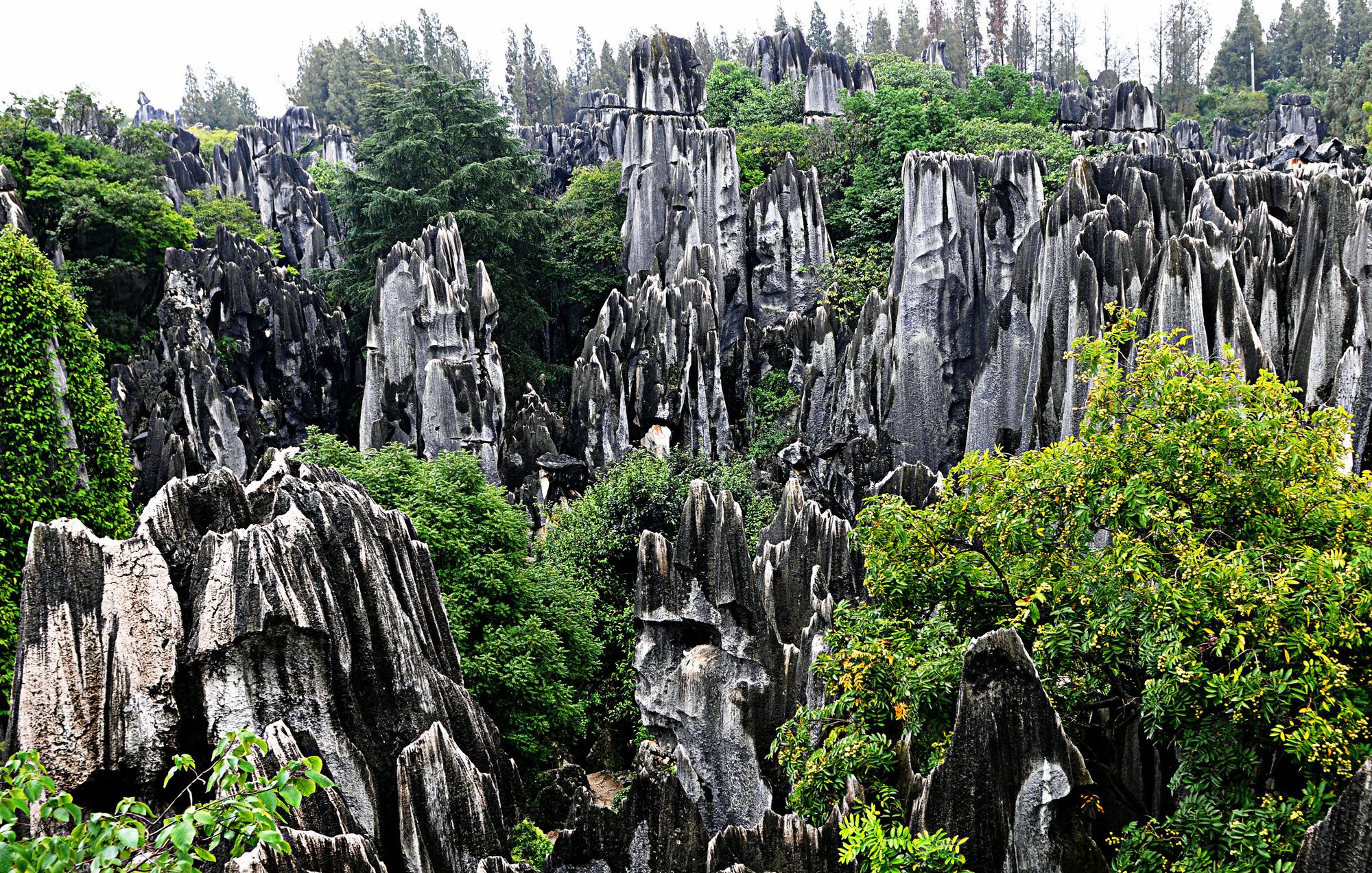 Tour du lịch một ngày đến núi Avatar tại Vườn quốc gia Trương Gia Giới