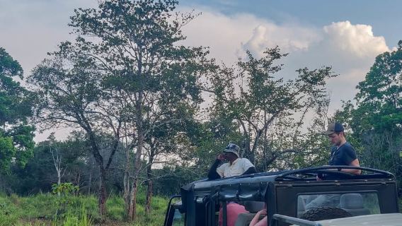 Hurulu Eco Park: 3-Hour Morning or Evening Safari