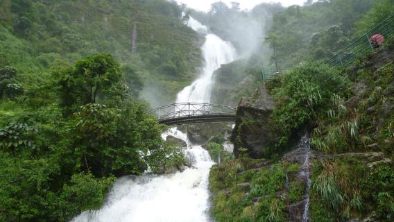 Sapa