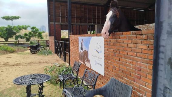 Colombo : expérience d'équitation sur la plage