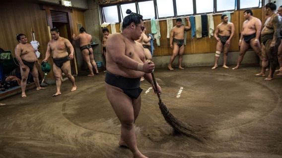 Tokio: Visita matutina a los entrenamientos de sumo