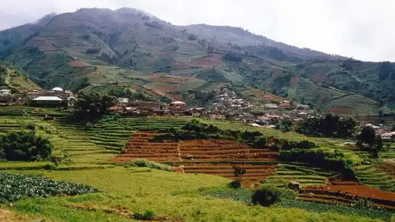 From Yogyakarta : Dieng Plateau Fullday Tour