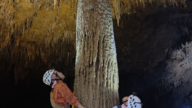 貴州安龍親子徒步體驗&採蘑菇&挖草藥【打卡黔西南州高峰,穿越原始森林】
