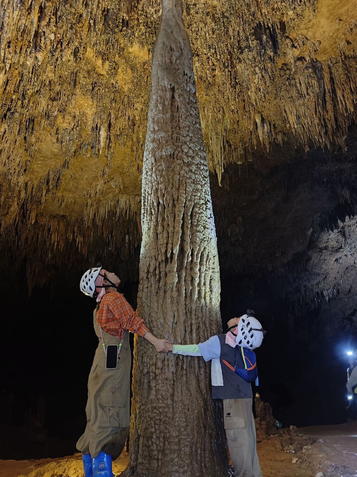 貴州安龍親子徒步體驗&採蘑菇&挖草藥【打卡黔西南州高峰,穿越原始森林】
