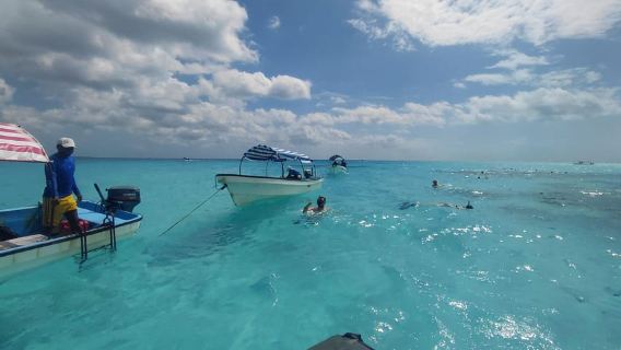 Sansibar: Delfin- und Schnorcheltour auf der Insel Mnemba