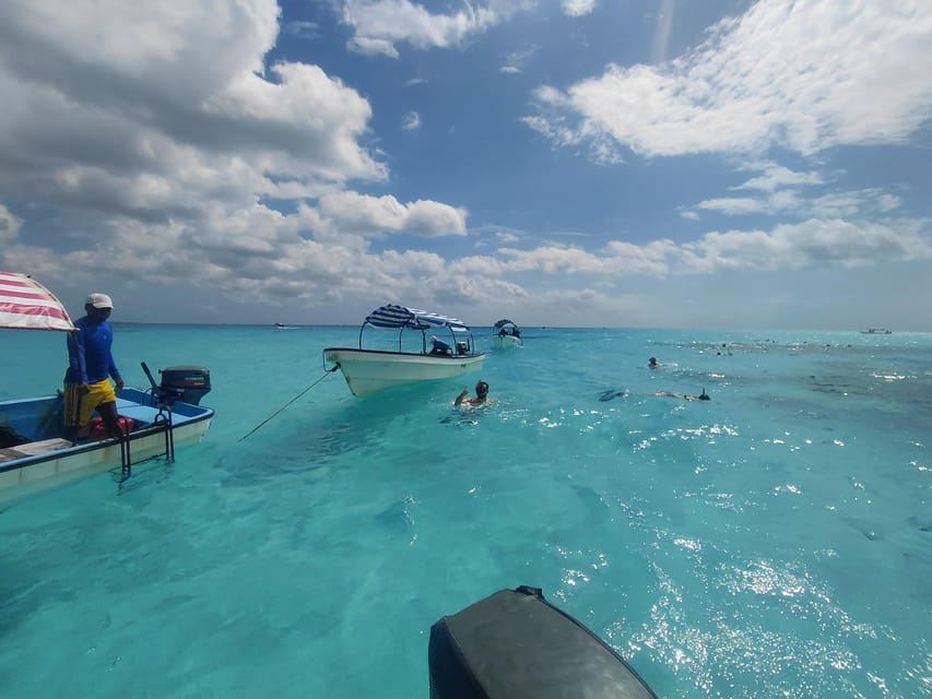 Занзибар: тур по наблюдению за дельфинами и сноркелингу на острове Мнемба