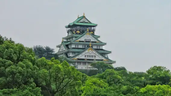 日本大阪包車:大阪城天守閣+通天閣+道頓堀+心齋橋+八坂神社