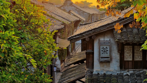 Исследуйте водный город Учжэнь: частная экскурсия из Ханчжоу с посещением местной мастерской по производству тканей