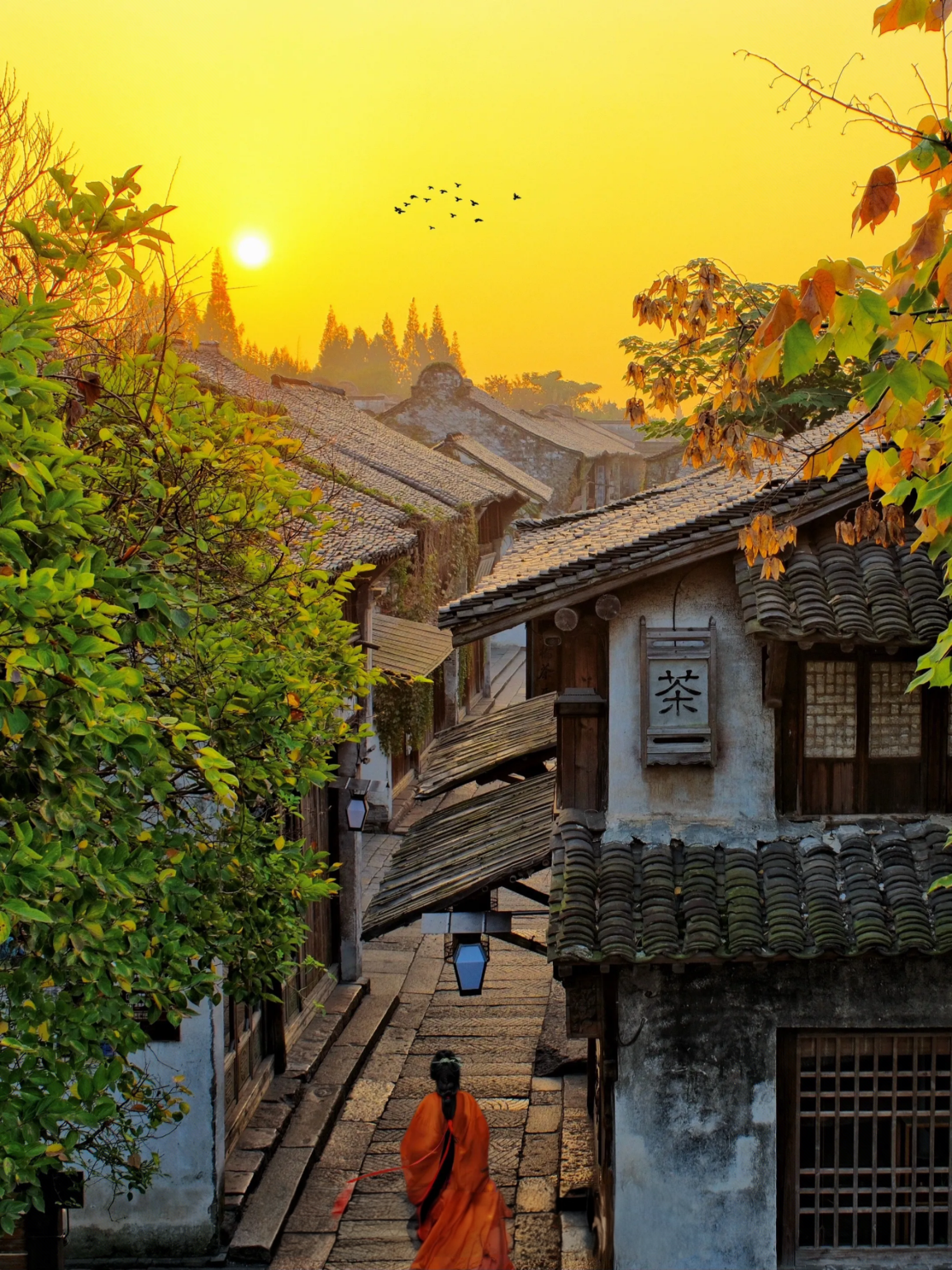 สำรวจเมืองน้ำอู่เจิ้น: เหมาทัวร์จากหางโจว พร้อมเวิร์กช็อปผ้าท้องถิ่น