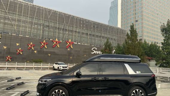 Tour giornaliero charter nel centro di Seul (prelievo e rientro flessibili)