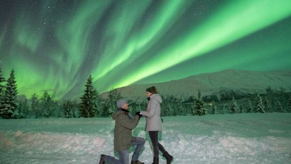 Noruega Tromso: Aurora Boreal en autobús pequeño + fotografía de auroras + comida caliente con fogata + ropa abrigada