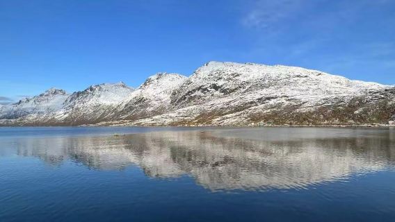 包車厄斯福德：徒步峽灣＋夜追北極光＋打卡咖啡館＋邂逅野生動物