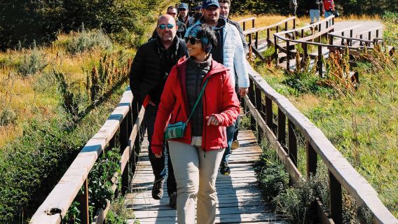 PARCO NAZIONALE TERRA DEL FUOCO MEZZA GIORNATA