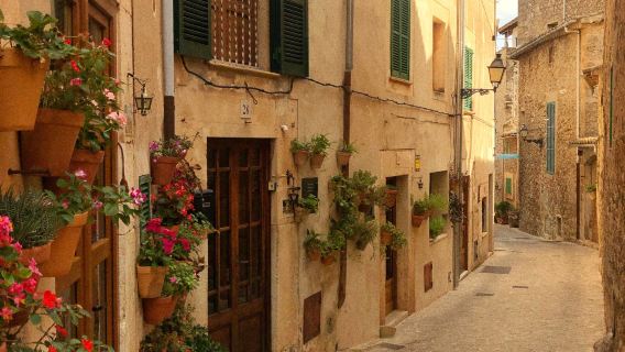 Mallorca + Drach Caves + Soller Town Day Tour (Chinese-Speaking Driver)