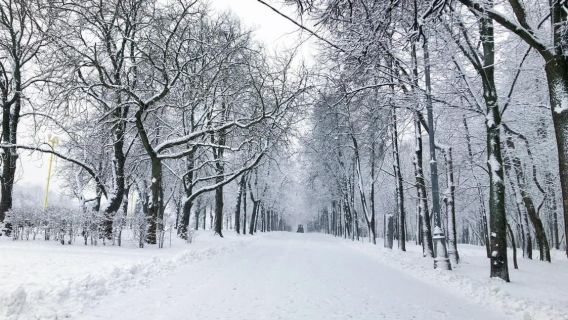 俄羅斯莫斯科-金環小鎮-謝爾蓋聖三一修道院-私享定制遊