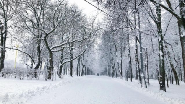 Moscow, Russia - Golden Ring Town - The Holy Trinity-St. Sergius Lavra - Private Customized Tour