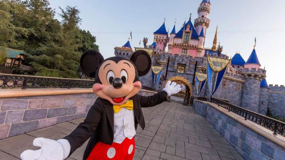 Lawatan sehari ke Disneyland Los Angeles/Adventure Park | Termasuk tiket masuk | Boleh dinaik taraf untuk bermain di kedua-dua taman