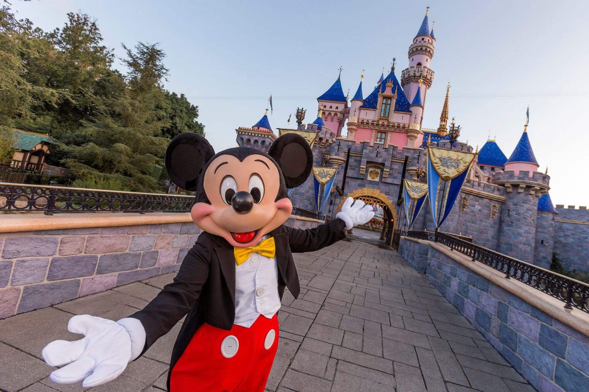 Tour di un giorno a Disneyland/Los Angeles con biglietto d'ingresso inclusi e opzione per l'upgrade all'accesso a più parchi