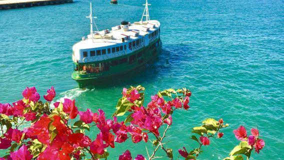 【贈上網卡】香港一日遊+可選叮叮車+諮詢再減+船遊維港+夜景